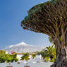 Costa de Tenerife