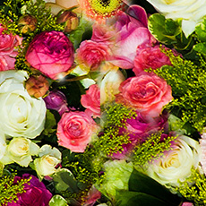 Reservar hoteles románticos